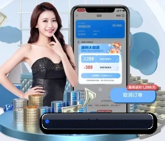 国际化进程 - 业务范围覆盖中国大陆、香港、台湾、东南亚、北美等地区。