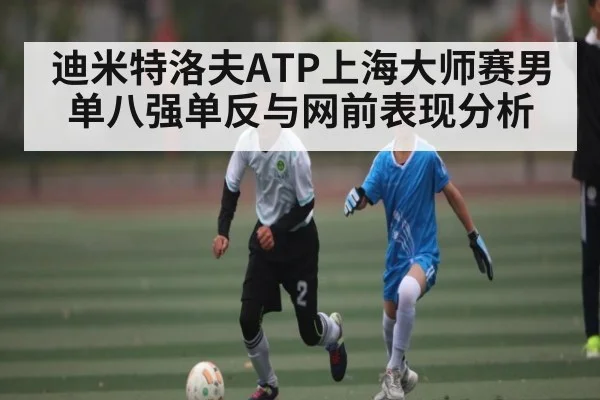 迪米特洛夫ATP上海大师赛男单八强单反与网前表现分析